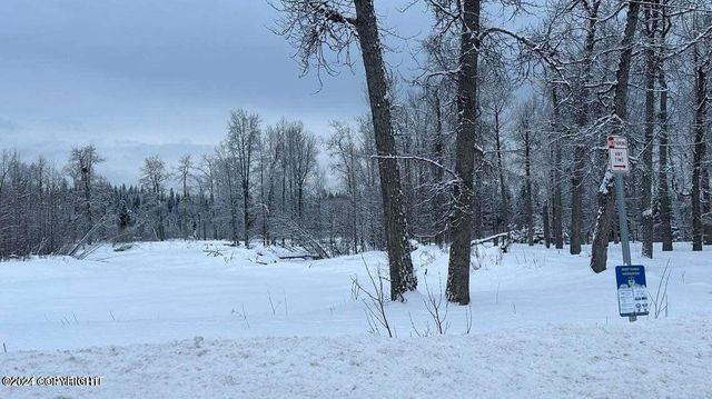 35885 & 35825 Sterling Highway, Anchor Point, AK 99556