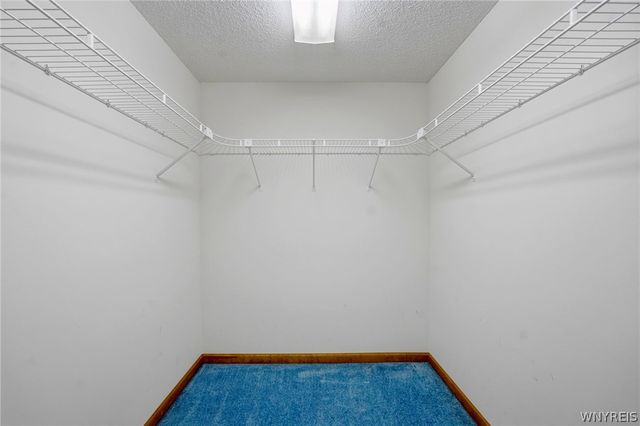 7196 Balla Drive, Wheatfield, NY 14120