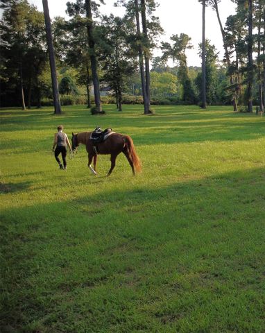 27110 Cherokee Lane, Magnolia, TX 77354