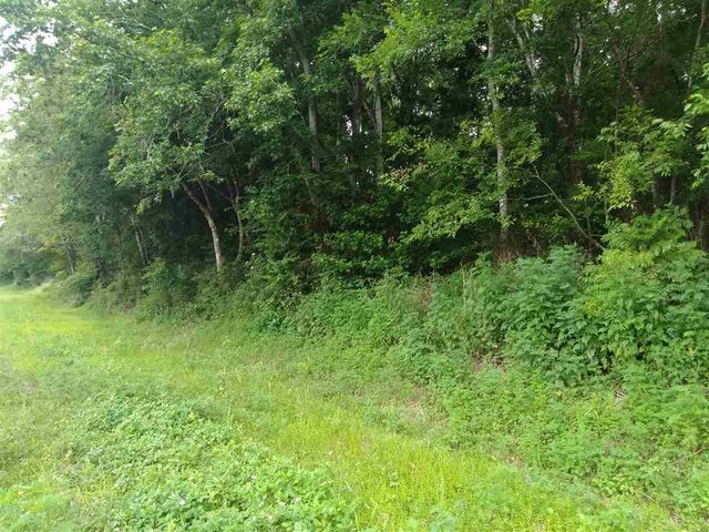 9785 E Deep Creek Blvd, Hastings, FL 32145