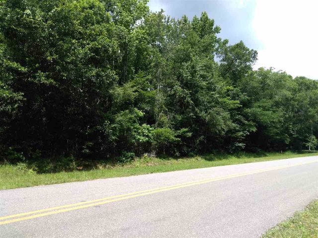 9785 E Deep Creek Blvd, Hastings, FL 32145