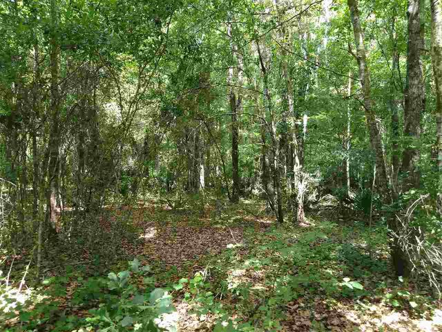 9785 E Deep Creek Blvd, Hastings, FL 32145