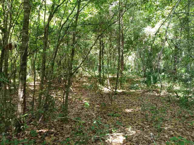 9785 E Deep Creek Blvd, Hastings, FL 32145