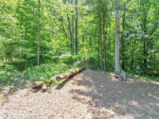 586 OLD BUSHMILL Road, Bremen, GA 30110