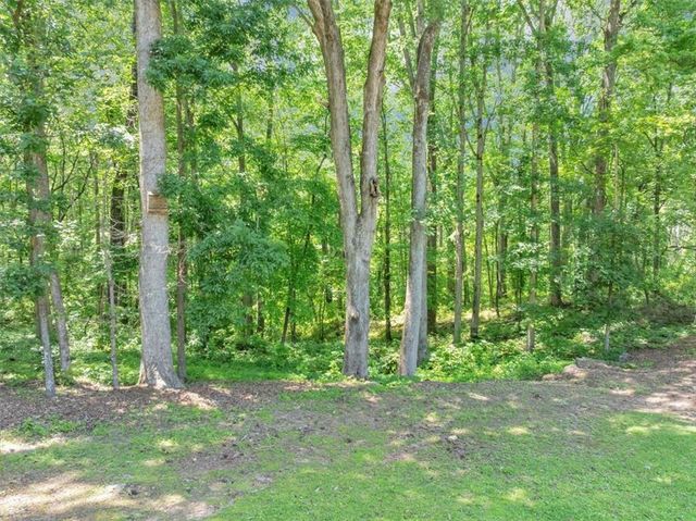 586 OLD BUSHMILL Road, Bremen, GA 30110