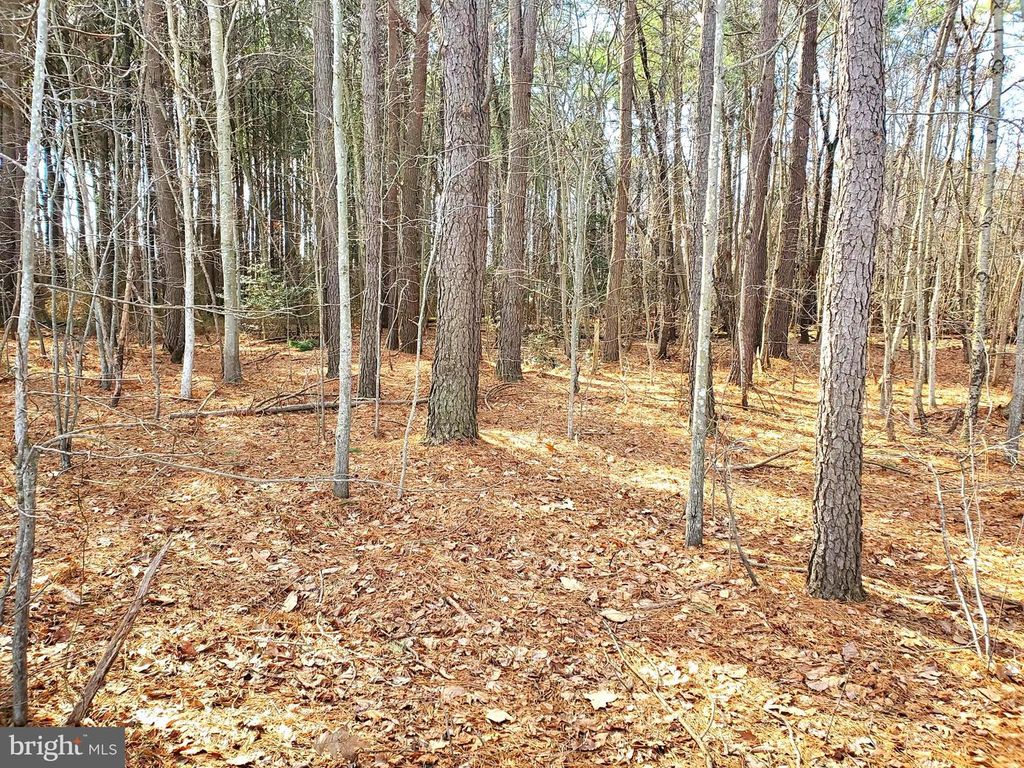 Image 1 of property listing at GRAVEL BRANCH RD, Hurlock, MD 21643