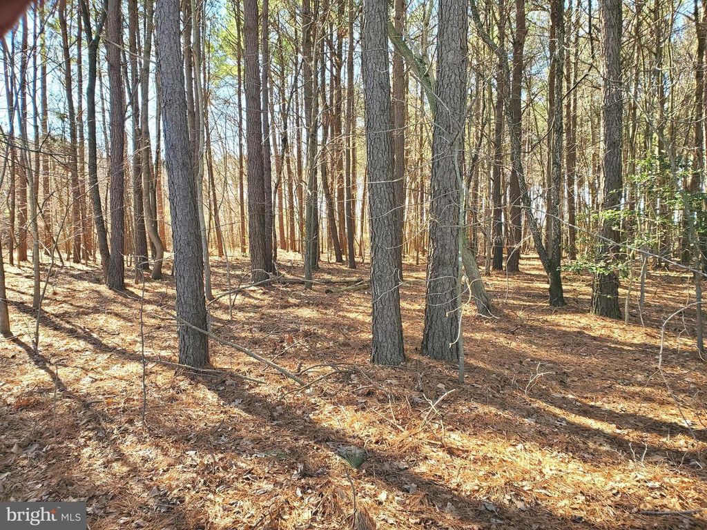 Image 5 of property listing at GRAVEL BRANCH RD, Hurlock, MD 21643