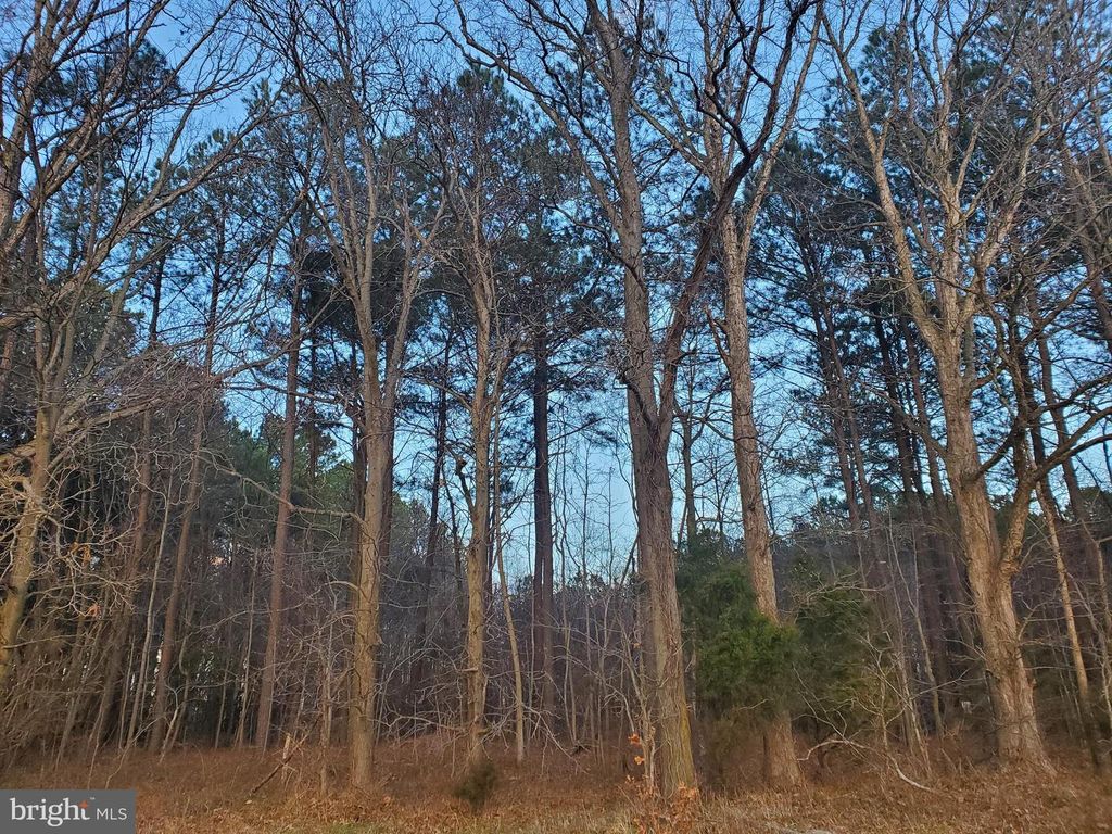 Image 6 of property listing at GRAVEL BRANCH RD, Hurlock, MD 21643