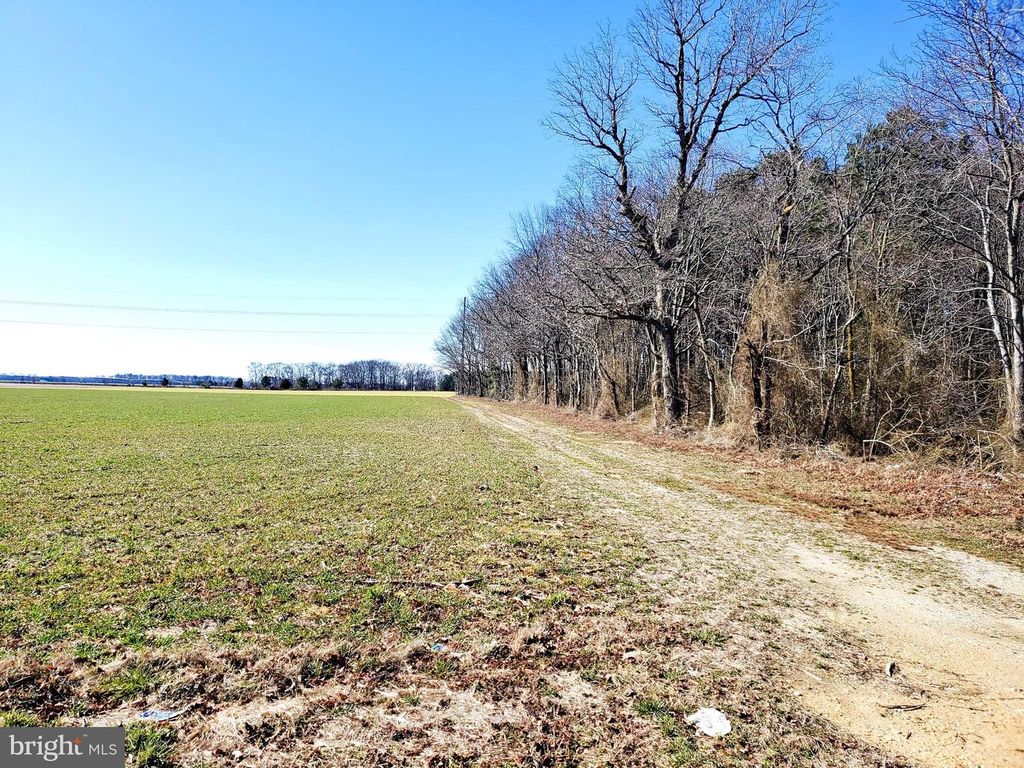 Image 7 of property listing at GRAVEL BRANCH RD, Hurlock, MD 21643