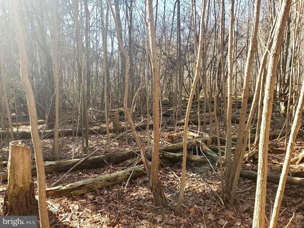 Image 8 of property listing at GRAVEL BRANCH RD, Hurlock, MD 21643