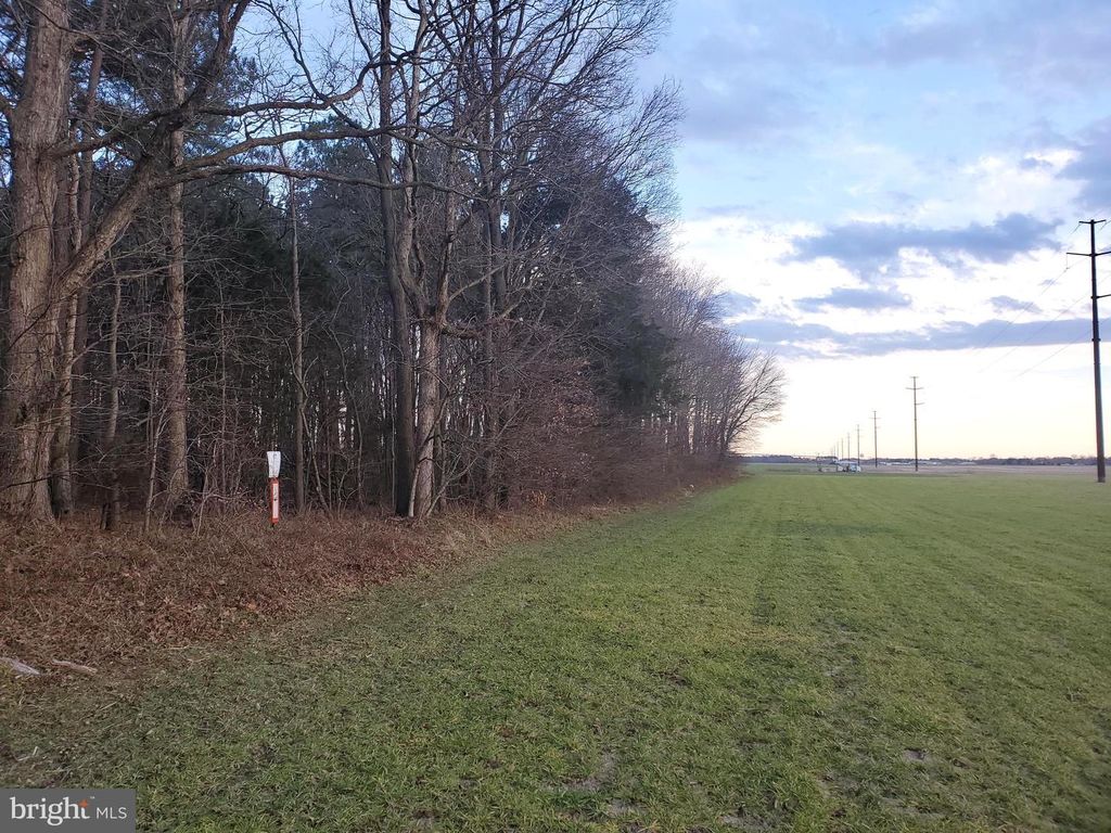 Image 9 of property listing at GRAVEL BRANCH RD, Hurlock, MD 21643