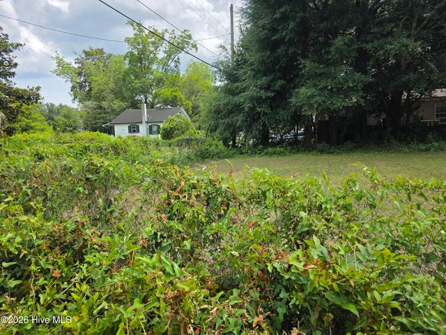 449 Clay Street, Wilmington, NC 28405