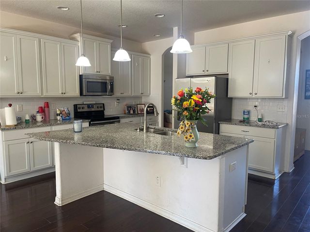 12433 BALLENTRAE FOREST DRIVE, Riverview, FL 33579