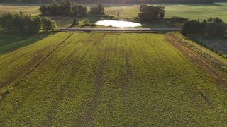 3XXXX Verdin Street NW, Maple Ridge Twp, MN 55080