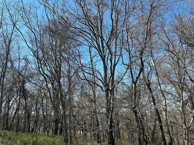 1 15339 Highway 45, Canehill, AR 72717