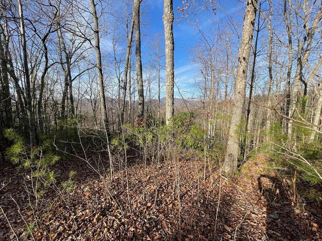 Lot 14 Big Cove Drive, Hiawassee, GA 30546