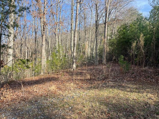 Lot 14 Big Cove Drive, Hiawassee, GA 30546