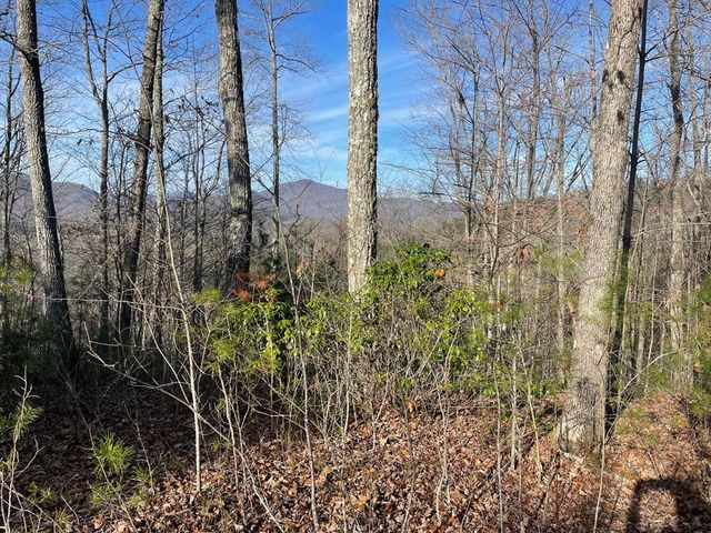 Lot 14 Big Cove Drive, Hiawassee, GA 30546