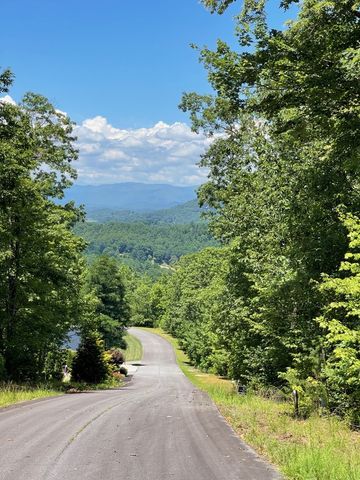 Lot 14 Big Cove Drive, Hiawassee, GA 30546