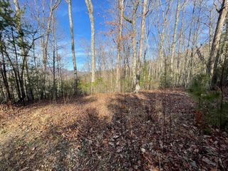 Lot 14 Big Cove Drive, Hiawassee, GA 30546