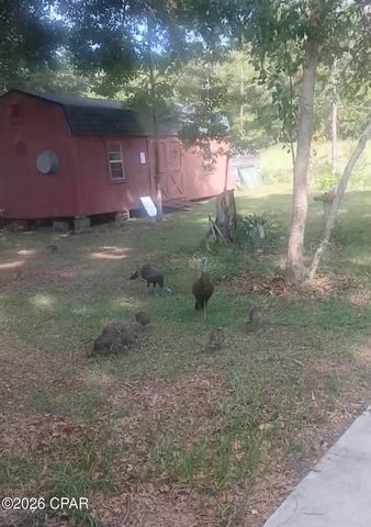 1371 Deadening Road, Chipley, FL 32428