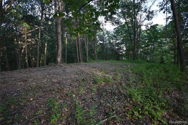 4273 Link Drive, Brighton, MI 48114