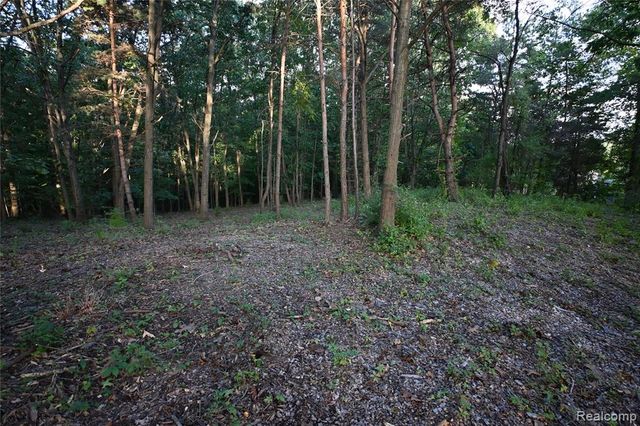 4273 Link Drive, Brighton, MI 48114