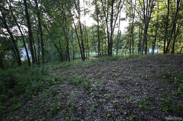 4273 Link Drive, Brighton, MI 48114