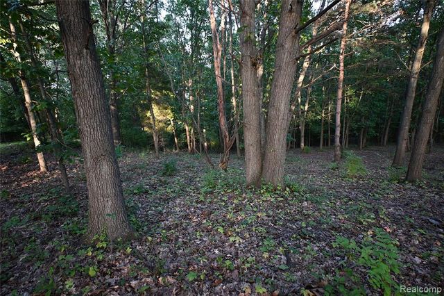 4273 Link Drive, Brighton, MI 48114