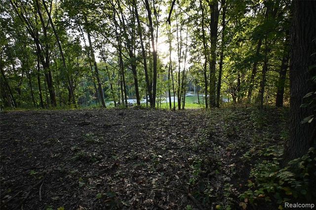 4273 Link Drive, Brighton, MI 48114