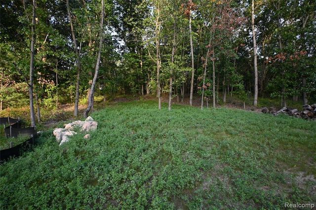 4273 Link Drive, Brighton, MI 48114