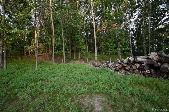 4273 Link Drive, Brighton, MI 48114