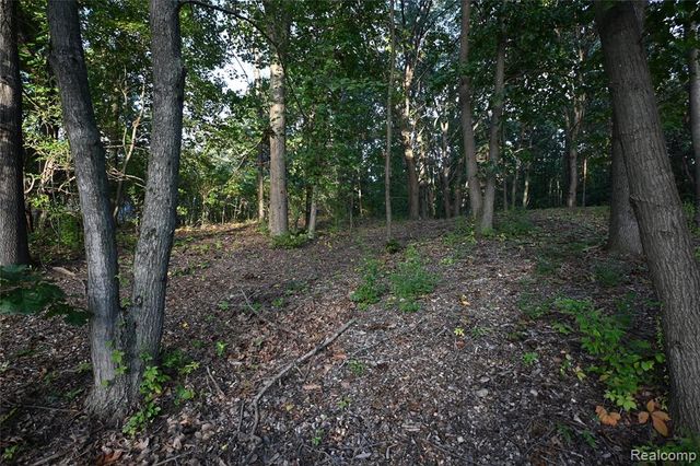 4273 Link Drive, Brighton, MI 48114