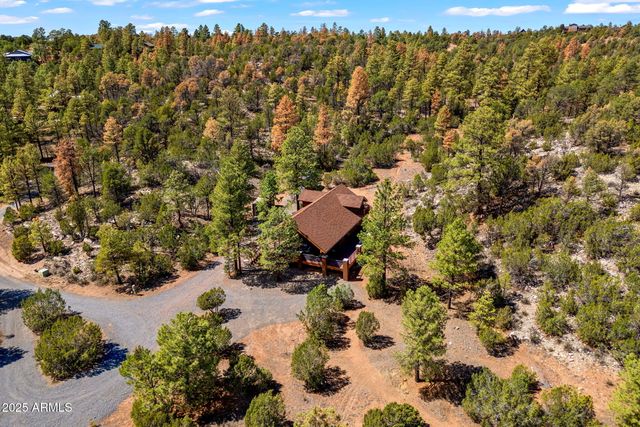 2343 DOVETAIL Trail, Overgaard, AZ 85933