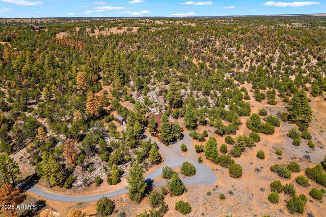 2343 DOVETAIL Trail, Overgaard, AZ 85933