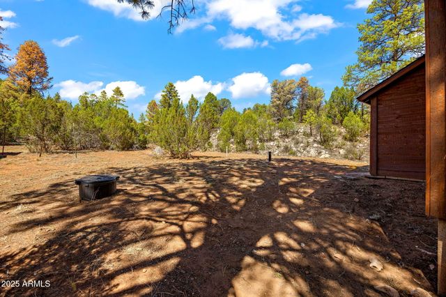 2343 DOVETAIL Trail, Overgaard, AZ 85933