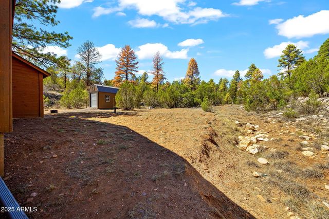 2343 DOVETAIL Trail, Overgaard, AZ 85933
