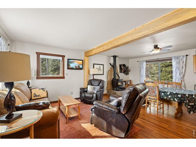 225 Meadow Ln, Bellvue, CO 80512