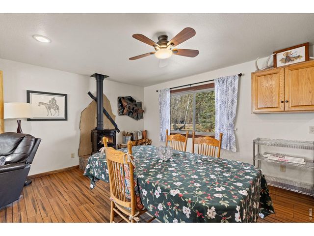 225 Meadow Ln, Bellvue, CO 80512