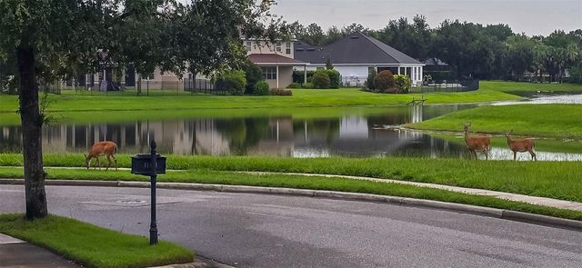 11437 WAKEWORTH STREET, Orlando, FL 32836