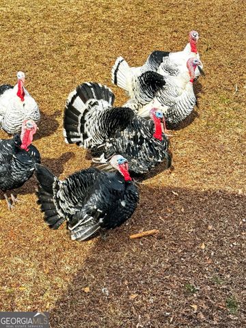 762 High Falls Park Road, Barnesville, GA 30204