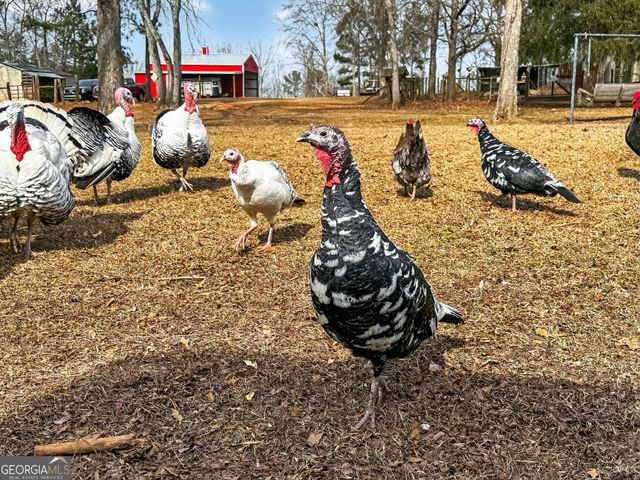 762 High Falls Park Road, Barnesville, GA 30204