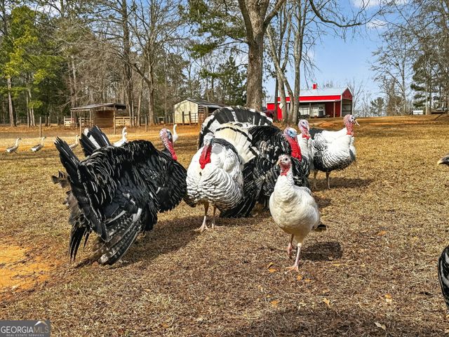 762 High Falls Park Road, Barnesville, GA 30204