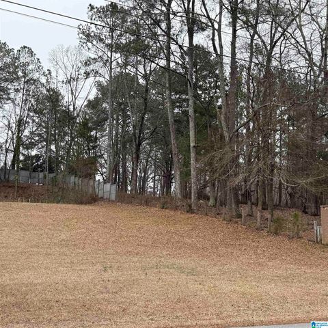 1315 RABBIT BRANCH ROAD, Cropwell, AL 35054