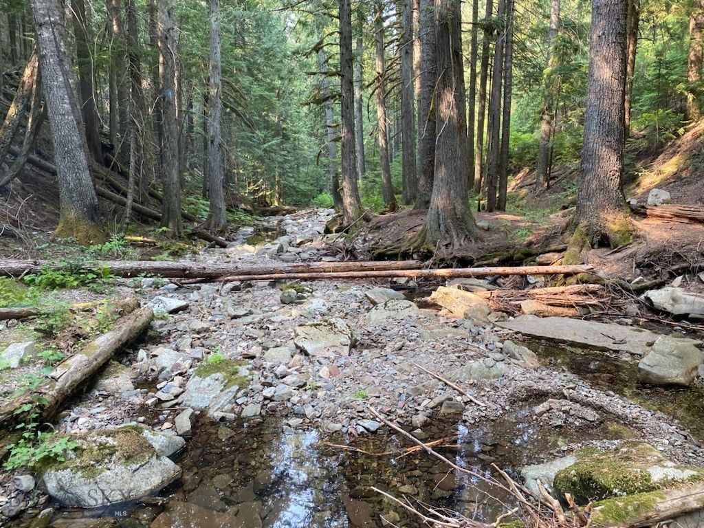 1876 Timber Creek Road, Saint Regis, MT 59866 photo 76