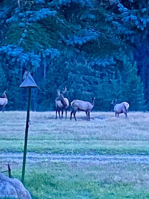 1876 Timber Creek Road, Saint Regis, MT 59866 photo 78