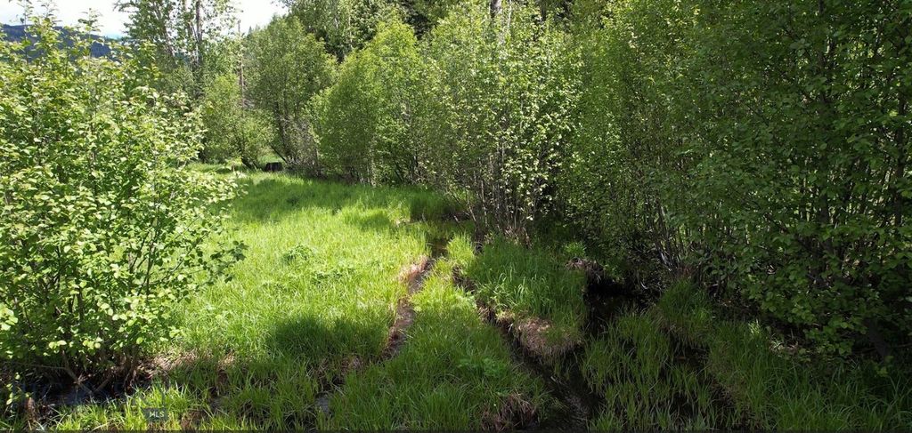 1876 Timber Creek Road, Saint Regis, MT 59866 photo 86