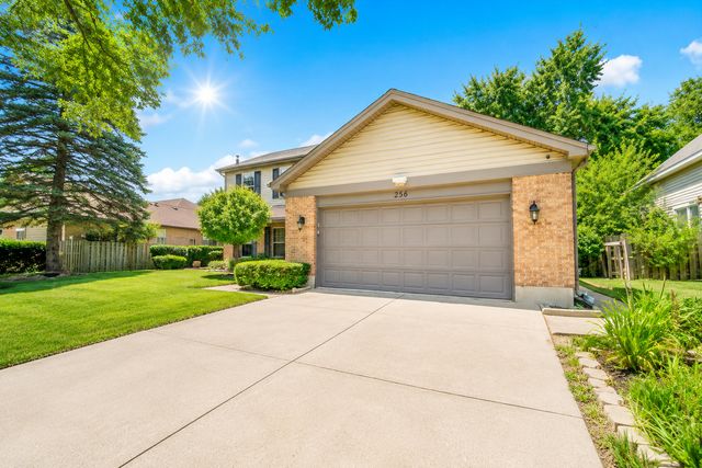 256 E Fox Hill Drive, Buffalo Grove, IL 60089