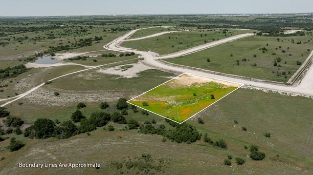 3004 Lucky Pepper Drive, Cresson, TX 76035