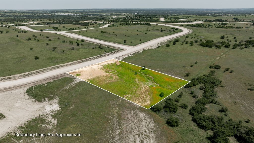 3004 Lucky Pepper Drive, Cresson, TX 76035